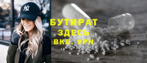 индика Осташков