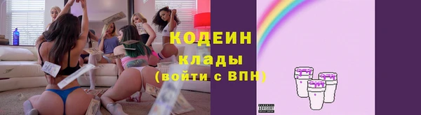 ПСИЛОЦИБИНОВЫЕ ГРИБЫ Щучье