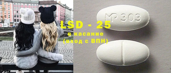 амф Щигры