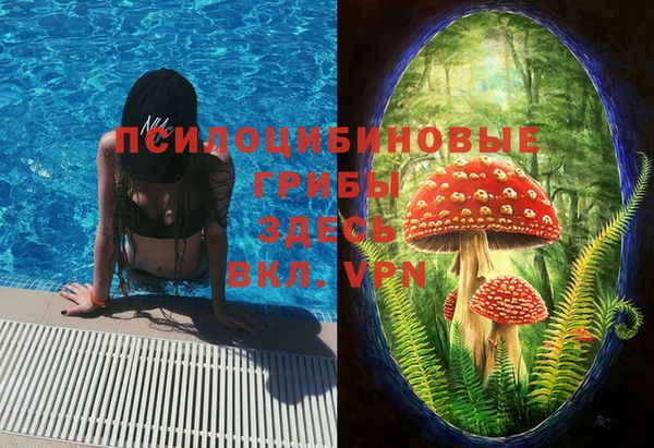 первитин Пестово