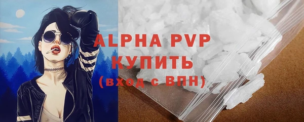 индика Осташков